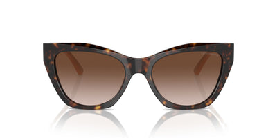 Emporio Armani EA4176 Shiny Havana/Brown Gradient #colour_shiny-havana-brown-gradient