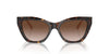 Emporio Armani EA4176 Shiny Havana/Brown Gradient #colour_shiny-havana-brown-gradient