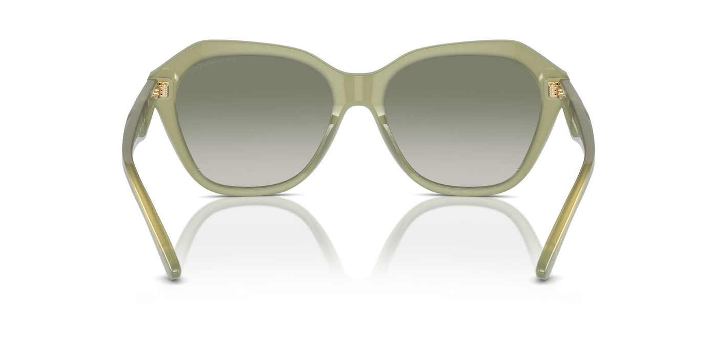 Emporio Armani EA4221 Shiny Opaline Green/Green Gradient #colour_shiny-opaline-green-green-gradient