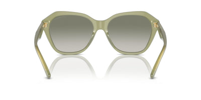 Emporio Armani EA4221 Shiny Opaline Green/Green Gradient #colour_shiny-opaline-green-green-gradient