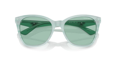 Emporio Armani EA4222U Shiny Striped Green/Green #colour_shiny-striped-green-green