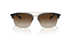Emporio Armani EA4228 Shiny Black/Matte Pale Gold/Brown Gradient #colour_shiny-black-matte-pale-gold-brown-gradient