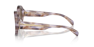 Emporio Armani EA4231U Striped Brown/Dark Brown #colour_striped-brown-dark-brown