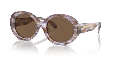 Emporio Armani EA4231U Striped Brown/Dark Brown #colour_striped-brown-dark-brown