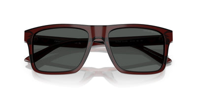 Emporio Armani EA4232 Transparent Brown/Smoke #colour_transparent-brown-smoke