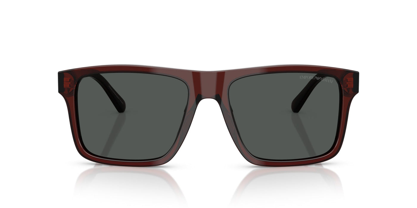 Emporio Armani EA4232 Transparent Brown/Smoke #colour_transparent-brown-smoke