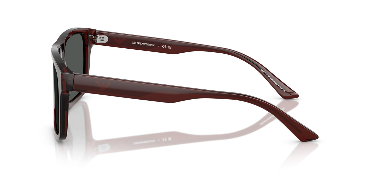 Emporio Armani EA4232 Transparent Brown/Smoke #colour_transparent-brown-smoke