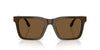 Emporio Armani EA4262U Shiny Brown/Brown #colour_shiny-brown-brown