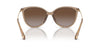 Michael Kors Dupont MK2184U Brown Transparent/Brown Polarised #colour_brown-transparent-brown-polarised