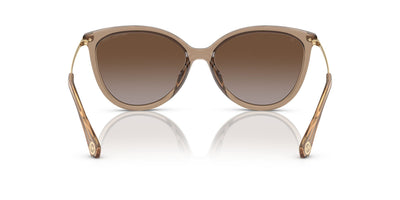 Michael Kors Dupont MK2184U Brown Transparent/Brown Polarised #colour_brown-transparent-brown-polarised