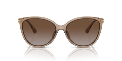 Michael Kors Dupont MK2184U Brown Transparent/Brown Polarised #colour_brown-transparent-brown-polarised