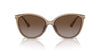 Michael Kors Dupont MK2184U Brown Transparent/Brown Polarised #colour_brown-transparent-brown-polarised