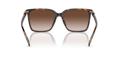 Michael Kors Canberra MK2197U Dark Tortoise/Brown Gradient #colour_dark-tortoise-brown-gradient