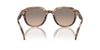 Michael Kors Eger MK2216U Brown Horn/Brown Black #colour_brown-horn-brown-black