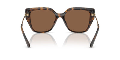 Michael Kors St. Barths MK2231U Dark Tortoise/Dark Brown Solid #colour_dark-tortoise-dark-brown-solid