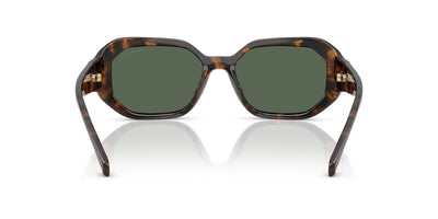 Michael Kors Siesta Key MK2240U Dark Tortoise/Green Solid #colour_dark-tortoise-green-solid