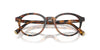 Miu Miu VMU02W Havana Ivy #colour_havana-ivy