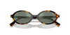 Miu Miu SMU04Z Honey Havana/Green Silver Mirror #colour_honey-havana-green-silver-mirror