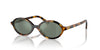 Miu Miu SMU04Z Honey Havana/Green Silver Mirror #colour_honey-havana-green-silver-mirror