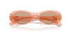 Miu Miu SMU06Z Noisette Transparent/Dark Brown #colour_noisette-transparent-dark-brown