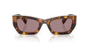 #colour_honey-havana-light-purple-brown
