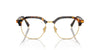 Miu Miu VMU10X Honey Havana #colour_honey-havana