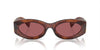 Miu Miu SMU11W Striped Tobacco/Dark Violet #colour_striped-tobacco-dark-violet