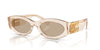 Miu Miu SMU11W Sand Transparent/Dark Brown #colour_sand-transparent-dark-brown
