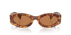 Miu Miu SMU11W Havana/Brown #colour_havana-brown