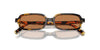Miu Miu SMU11Z Honey Havana/Brown #colour_honey-havana-brown