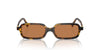 Miu Miu SMU11Z Honey Havana/Brown #colour_honey-havana-brown