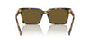 Miu Miu SMU13Z Honey Havana/Dark Brown #colour_honey-havana-dark-brown