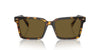 Miu Miu SMU13Z Honey Havana/Dark Brown #colour_honey-havana-dark-brown