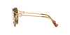 Miu Miu SMU53Y Gold Brass/Dark Brown #colour_gold-brass-dark-brown