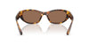 Miu Miu SMU A03 Honey Havana/Dark Brown #colour_honey-havana-dark-brown
