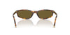 Miu Miu SMU A06 Honey Havana/Dark Brown #colour_honey-havana-dark-brown
