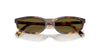 Miu Miu SMU A06 Honey Havana/Dark Brown #colour_honey-havana-dark-brown