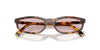 Miu Miu SMU A06 Honey Havana/Pink #colour_honey-havana-pink