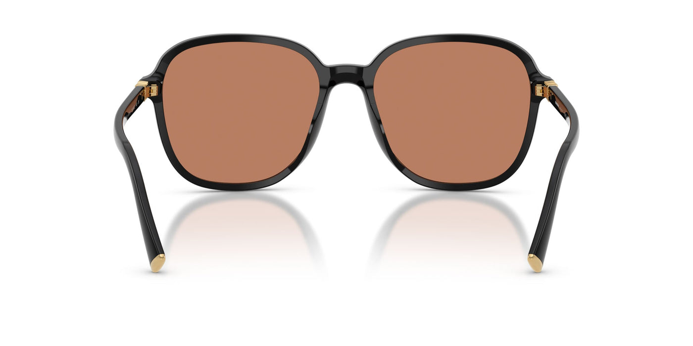Miu Miu SMU B01 Black/Brown #colour_black-brown