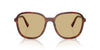 Miu Miu SMU B01 Striped Tobacco/Yellow #colour_striped-tobacco-yellow