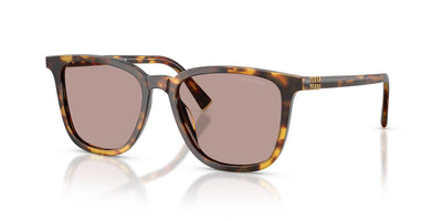 Miu Miu SMU B03 Honey Havana/Light Purple Brown #colour_honey-havana-light-purple-brown