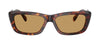 #colour_havana-brown