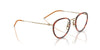 Oliver Peoples TK-11 OV1360T Gold-Tuscany Tortoise #colour_gold-tuscany-tortoise