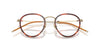 Oliver Peoples TK-11 OV1360T Gold-Tuscany Tortoise #colour_gold-tuscany-tortoise