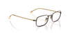 Oliver Peoples Brymer OV1366T Antique Gold/DTB #colour_antique-gold-dtb