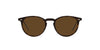 Oliver Peoples Riley Sun OV5004SU Horn/True Brown Polarised #colour_horn-true-brown-polarised
