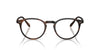 Oliver Peoples Riley-R OV5004 Semi-Matt Tuscany Tortoise #colour_semi-matt-tuscany-tortoise