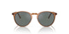 Oliver Peoples O'malley SUN OV5183S Carob/Regal Blue #colour_carob-regal-blue