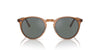 Oliver Peoples O'malley SUN OV5183S Carob/Regal Blue #colour_carob-regal-blue