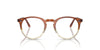 Oliver Peoples O'Malley OV5183 Amber Vsb #colour_amber-vsb